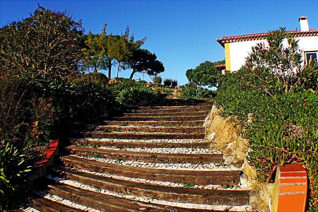 Quinta Da Torre - Obidos Country House Óbidos Exterior foto