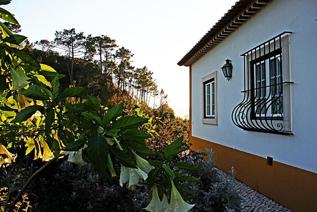 Quinta Da Torre - Obidos Country House Óbidos Exterior foto