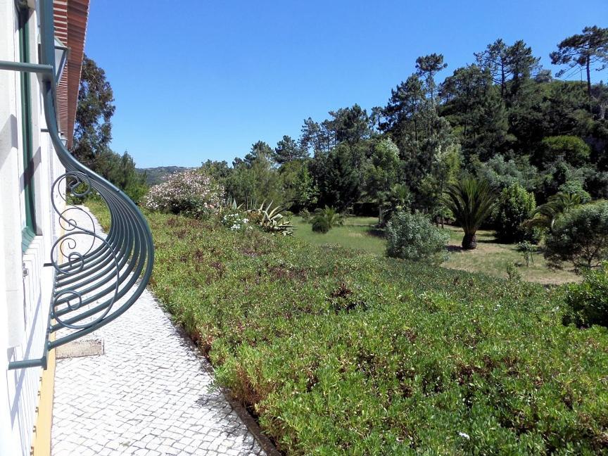 Quinta Da Torre - Obidos Country House Óbidos Exterior foto